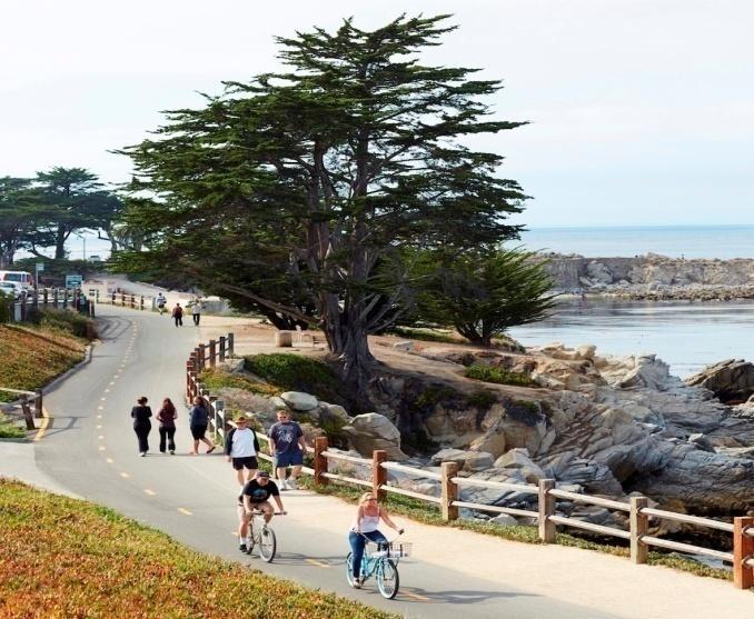 There s even a dog friendly beach in Carmel. Start at McAbee Beach on Cannery Row and explore all the way down the coast into Big Sur. Ask our Concierge for more details on different local beaches.