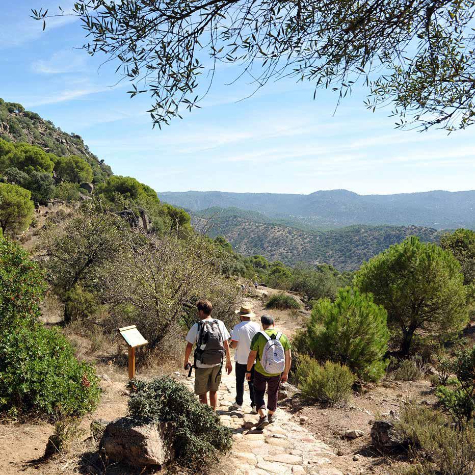 want to explore the biodiversity of this Sierra in the north of Jaén and enjoy a day out in nature.