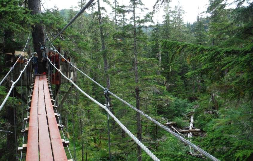 GUIDED BROWN BEAR VIEWING AT PACK CREEK 6 HOURS ALPINE ZIPLINE ADVENTURE 3.75 HOURS The Pack Creek Brown Bear Sanctuary is located 30 air miles outside of Juneau on Admiralty Island.