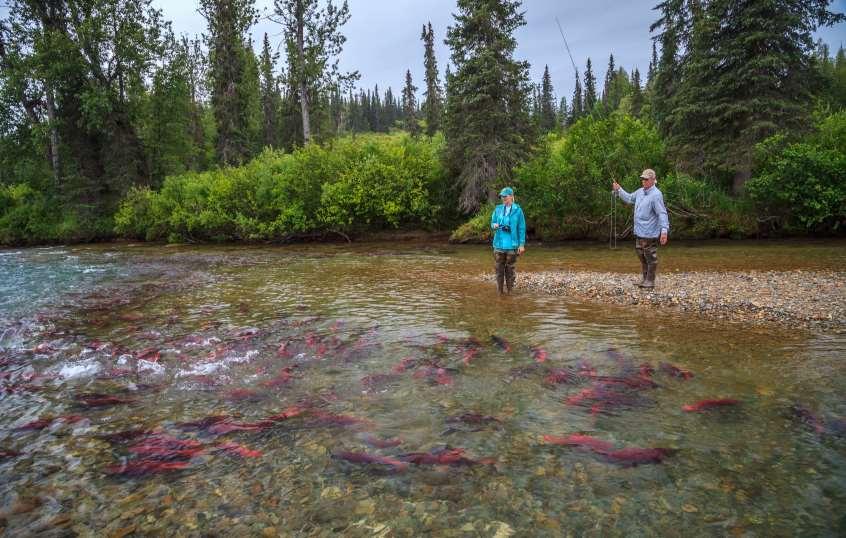FLY-OUT FLY FISHING 5.5 HOURS A TOUR WITH TASTE 2.5 HOURS This premier fly-out trip is Alaskan fishing at its finest: world-renowned fishing in remote waters.