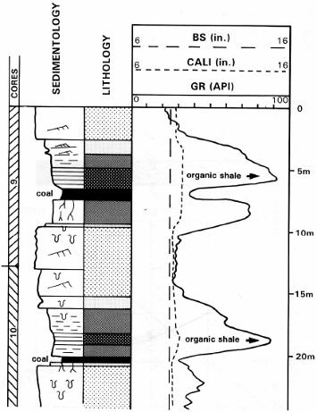 Primer pokazuje izražen kontrast u stepenu radioaktivnosti između uglja (niska radioaktivnost) i šejla bogatog organskom materijom (visoka radioaktivnost) u sekvenci delte.