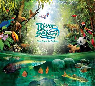 River Safari Nestled between Singapore s two award-winning wildlife parks Singapore Zoo and Night Safari River Safari offers an unforgettable adventure inspired by the world s most iconic rivers.