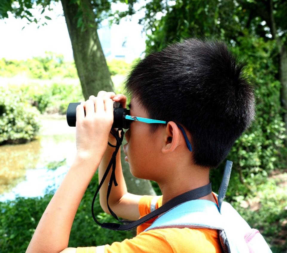 The 3-day Nature Adventurers programme takes kids aged 9-11 into the heart of Hong Kong s rich and unique biodiversity.