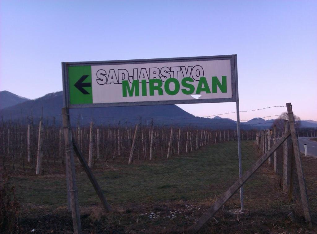 Duplišak M. Pojavljanje toče v Sloveniji in škoda v kmetijstvu. 23 2.8 PODJETJE MIROSAN IN OBRAMBA PROTI TOČI Podjetje Mirosan je pričelo s svojo pridelavo jabolk leta 1954.