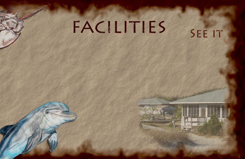 Our facilities: Barrier Island boasts exceptional teaching facilities; its outdoor classrooms feature nearly one mile of beach-front, 100 acres of salt marsh, 200 acres of undisturbed maritime