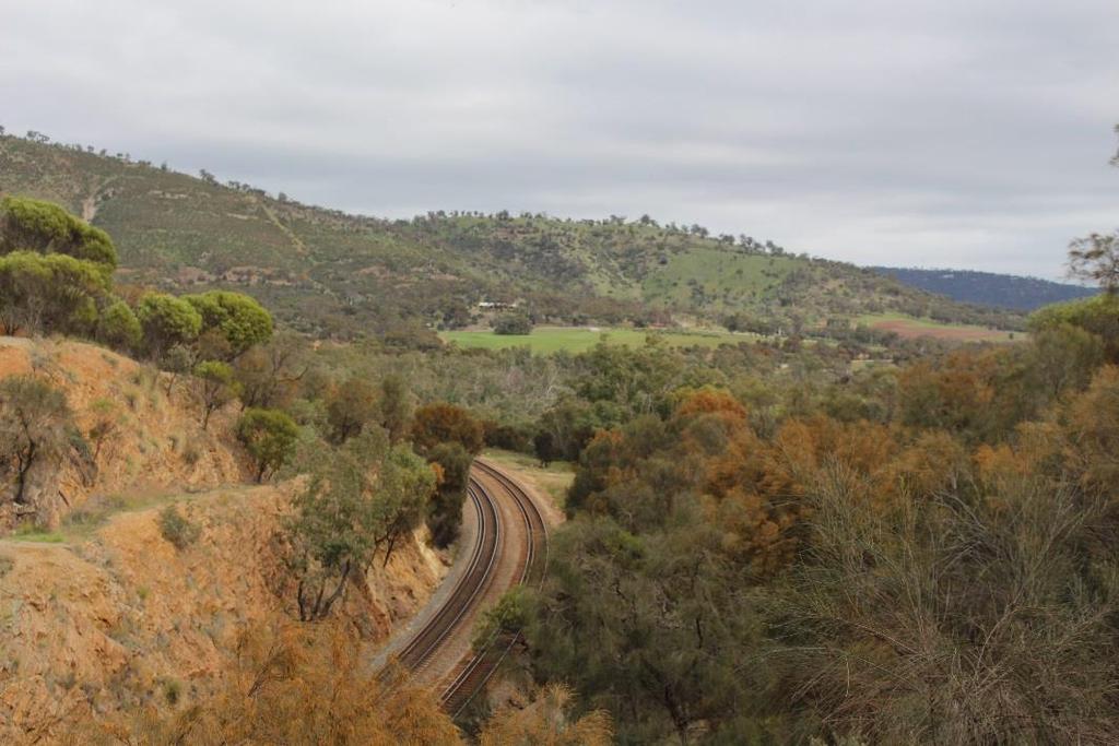 AVON HISTORIC TOURIST DRIVE The Avon Drive was the original route between settlements of Toodyay, Northam, York and Beverly. This guide details that part of the route between Toodyay and Northam.