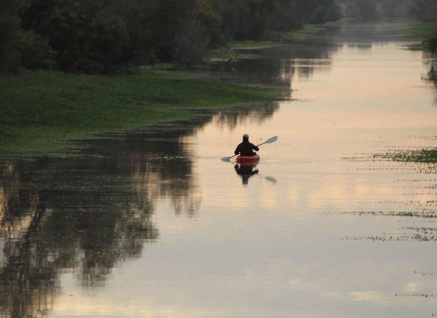 About Sutter County A lone kayaker with a fishing pole navigates the water in the Sutter