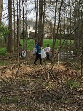 School students out monitoring Green Creek Planting installed Fall of 2016 Lake Shore Garden Club Watershed Presentation June 19,