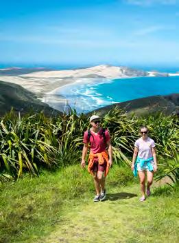 Northland is brimming with stunning natural scenery, and with 3,200 kilometres of beautiful coastline, it has a reputation for incredible boating, fishing and diving.