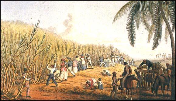 European Influences in the Caribbean Islands were settled and claimed by many European powers Spanish settled some of the islands and established sugar plantations Attempted to use the natives as