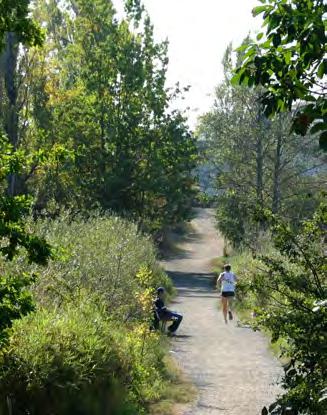 Design Guidelines 5.0 5.5 ENVIRONMENTAL PROTECTION & ENHANCEMENT Some trails are located in areas with valuable natural resources, such as riparian areas.