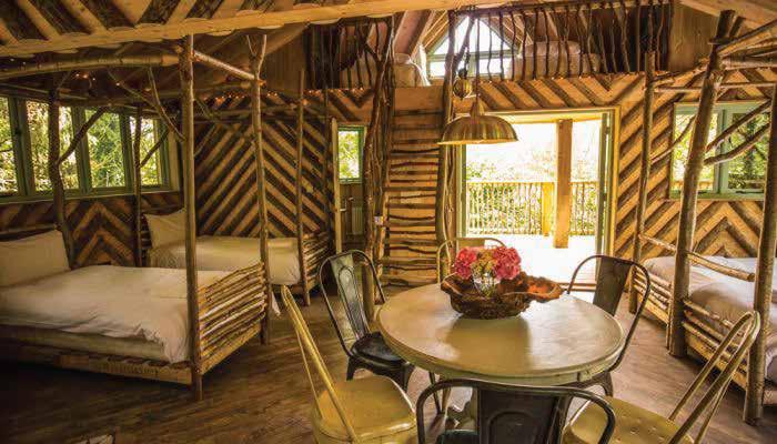 Dorm rooms Quercus Tree House (Female Room) Single Bed in Dorm for 6 with Ensuite 415 Step up into the trees and stay in a stunning open plan treehouse, with all the creature comforts.