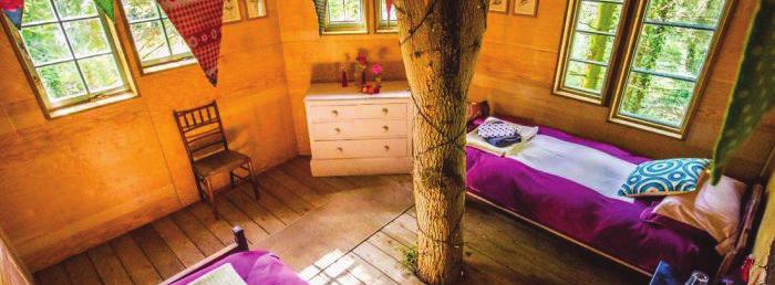 Twin Rooms Sunrise Tree House Twin Single Bed in Room of 2 in Shared Tree House for 4 with Shared Wash House Sunrise is more of a tree palace than a tree house, full of rustic charm with a huge round