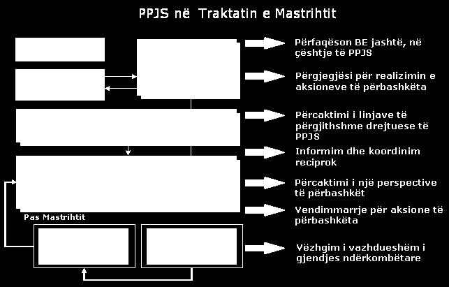[Kreu i faqes] PPJS në Traktatin e Maastriht-it Diagrama na tregon disa zhvillime me rëndësi të konsiderueshme, 20 vjet pas krijimit të BPE.