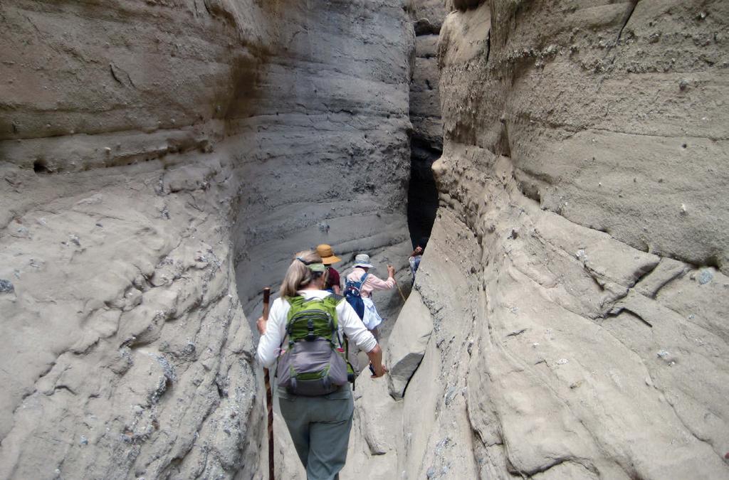 El Monte Park D4d (FLUME TRAIL) Sunday, February 8, 2015 9 AM 1 PM Our trail follows switchbacks through chaparral and sage scrub to reach the area where a flume was built to carry water from El