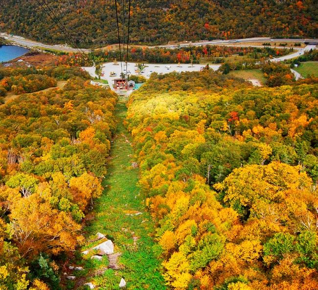 29 PLAN YOUR TRIP Itineraries Mt Mansfield (4393ft) R # Stowe NEW YORK Waterbury Waitsfield # Warren # VERMONT Franconia Notch State Park #