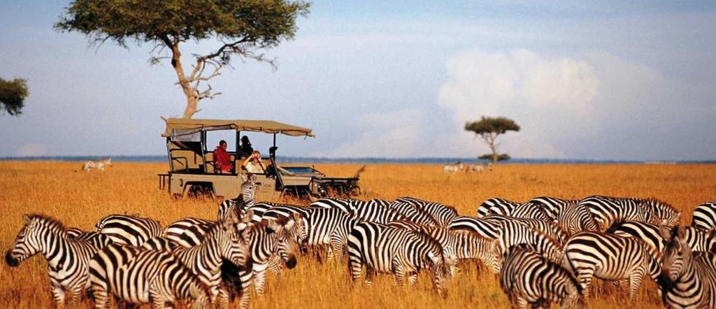 Kenya in Style Experience deserted beaches and remote wilderness in this 9-day Kenya safari and beach holiday.