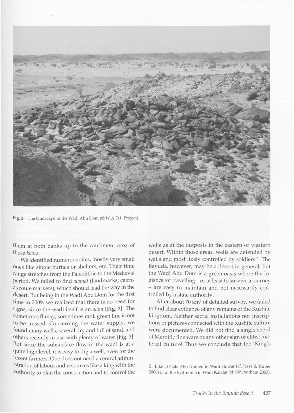 Fig. 2 The landscape in the Wadi Abu Dom ( W.A.D.I. Project). them at both banks up to the catchment area of these khors.