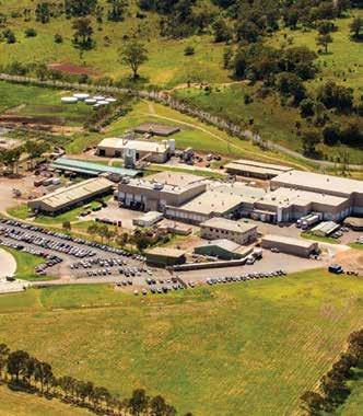 6 LIVE WORK INVEST BEEF & LIVESTOCK SCONE IS HOME TO A REGIONAL LIVESTOCK SELLING CENTRE AND A WORLD CLASS BEEF PROCESSING FACILITY.