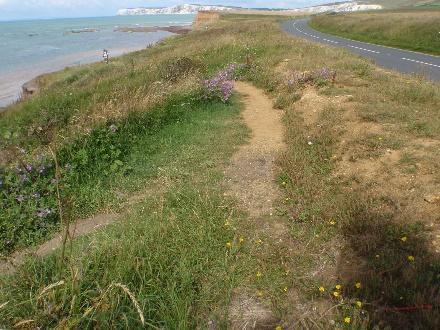 Path leading away from Brook car park on BS103. Access to beach.
