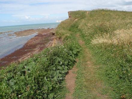 Path confined between road and cliff edge 06.