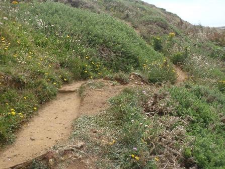 Path made after large landslip recently and another fissure is forming.