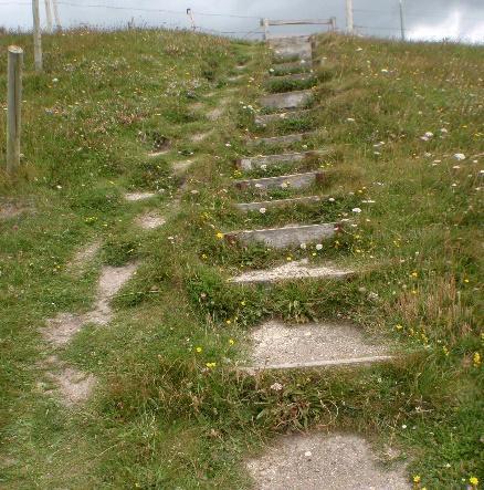 06.24 24 F35 on Upper Chalk. Compton Chine. Steps up to stile at main road. Steps in good condition 06.