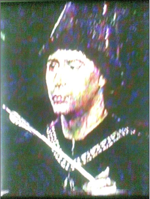Тај владар, војвода у Бургундији (и) Лотарингији Карло Смели је установио орден Златног Руна. Он је био Бургундац, а о Бургундцима каже Мавро Орбини 1601г.