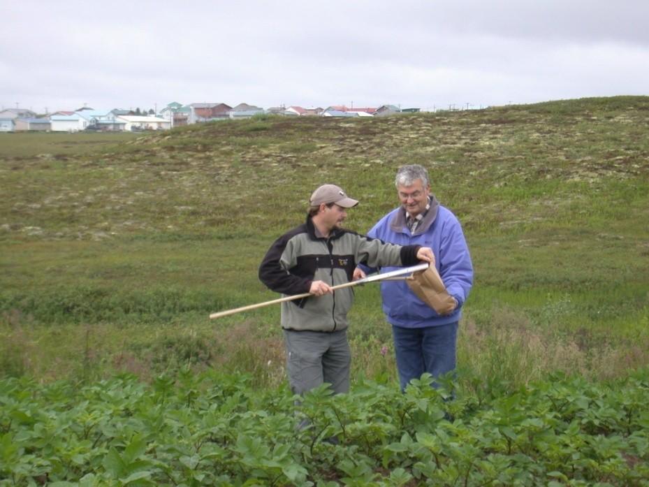 2010 Pest Detection Surveys in Alaska, cont.