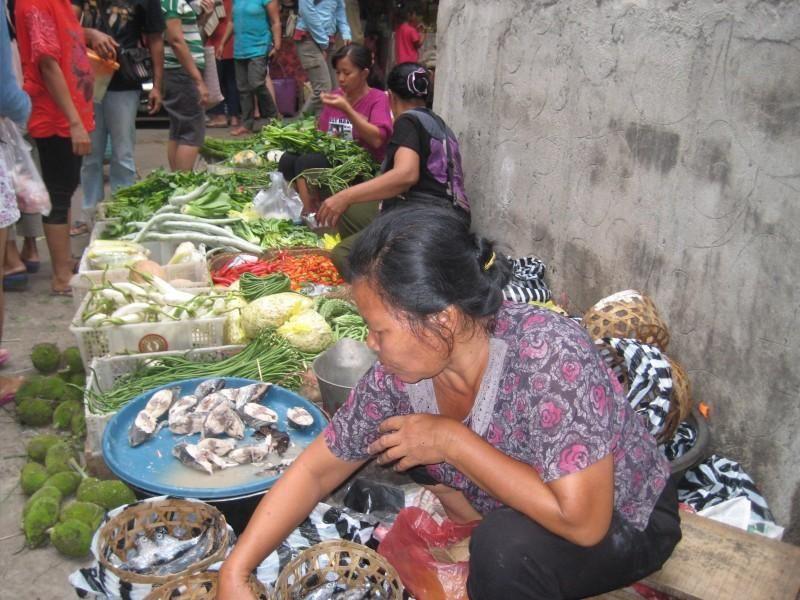 August 2 Day 4 Wake up at sunrise to experience a traditional market, walk through serene rice paddies, and visit a holy spring temple where countless Balinese go for purification rituals each year
