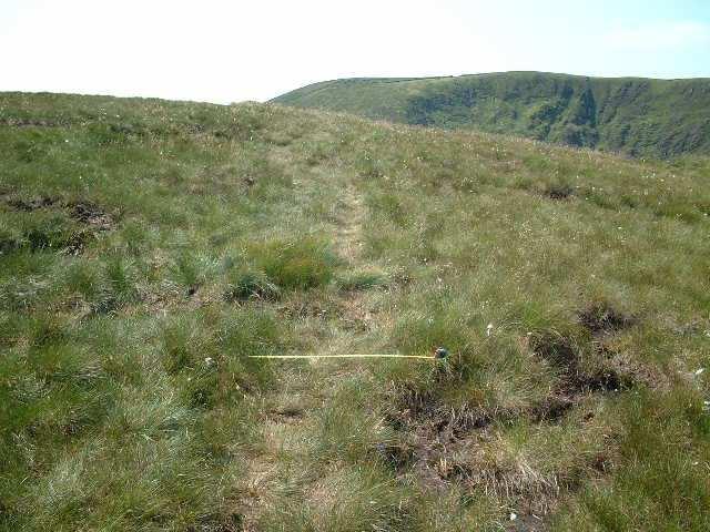 44 50m on up pic8 looking ahead, shows the path going through the grass /