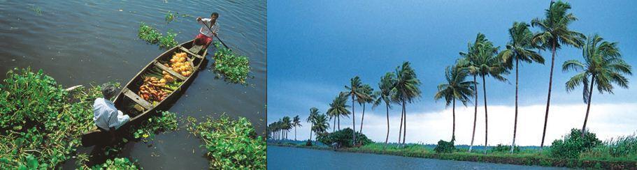 DAY 4 PROCEED TO ALLEPPEY-3.5 HRS DRIVE Alleppey is one of the most important tourist centers in the state, with a large network of inland canals earning it the sobriquet "Venice of the East".