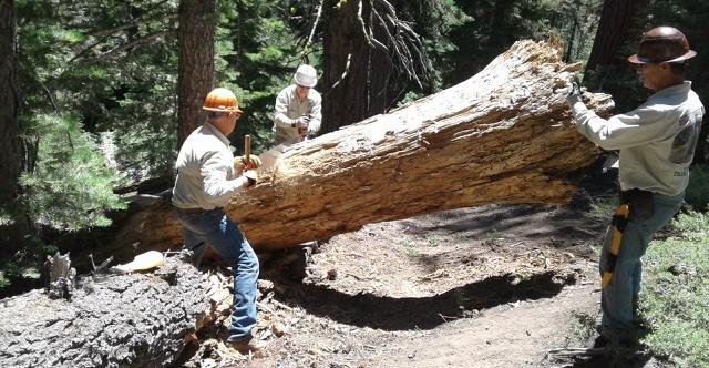 ﬁrst trail work projects of the season at Clark Fork.