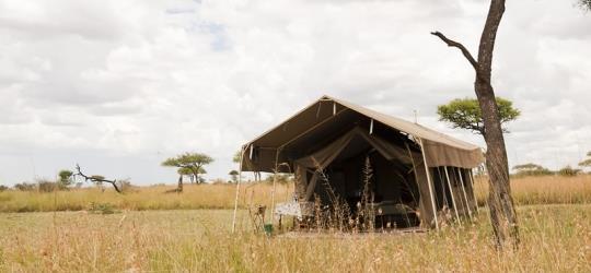 Kati Kati Camp Kati Kati Camp is a traditional bush camp situated in the game-rich Seronera region, placing it right in the heart of the Serengeti.