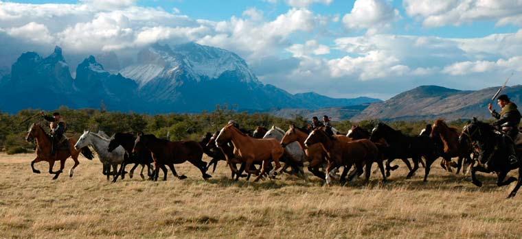 ESTANCIAS OF PATAGONIA BY HORSEBACK TRIP HIGHLIGHTS Visit cute burrowing penguins at the Otway Sound Penguin Colony Enjoy great pisco sours and fireside dining at the very comfortable Estancia Lazo