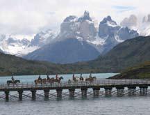 We will now be riding directly towards the Paine Massif mountain range so the views are dramatic and beautiful.