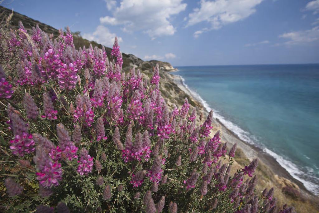 Greece, an exceptionally rich biodiversity