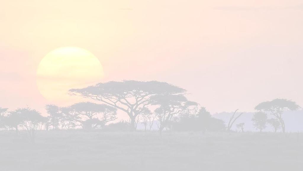 February 1-13 Arusha, Tanzania Serengeti Safari & Ngorongoro Crater visit Accommodation: TBC February 14 Arusha to Dar Es Salaam bus February 15 Dar Es Salaam to Zanzibar ferry February 15-17 Stone