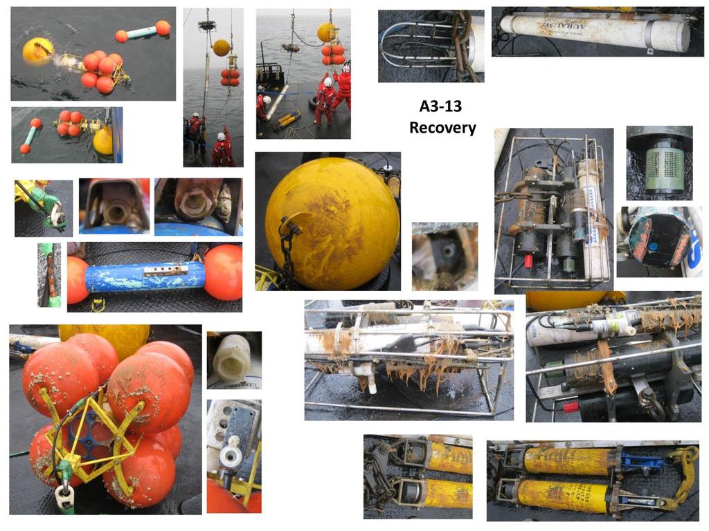 BERING STRAIT 2014 RECOVERY PHOTOS (continued) Woodgate et al 2014