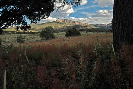 D E S C R I P T I O N The Ranch is bordered to the southeast by the spectacular Sawtooth Mountains; to the south it shares a two-mile border with the Cibola National Forest and its 9,500-foot peaks.