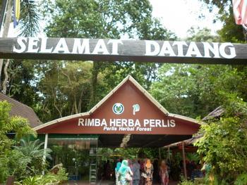 the Perlis State Park and Gua Kelam.