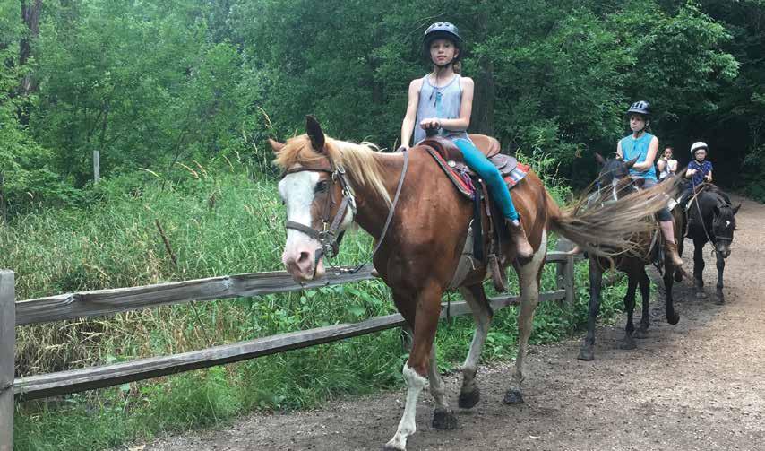 DAY CAMP KICI YAPI HORSE CAMPS Come experience the joys of horseback riding at Horse Camp!