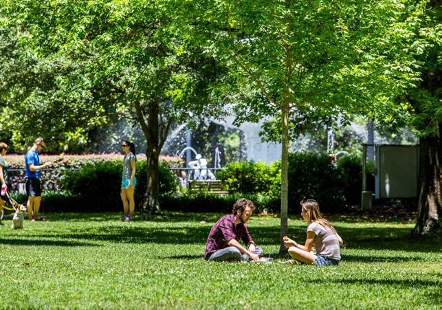 Free Time: Savannah is an extremely walkable city, with 22 park-like squares arranged in a grid pattern. Groups are able to split up and explore the city individually for a great free time activity!