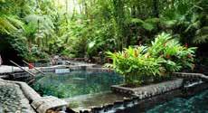 Waterfall Gardens Optional Half day tour Cost $50 Extend To Full Day (just pay for your taxi home @ $75 approx.