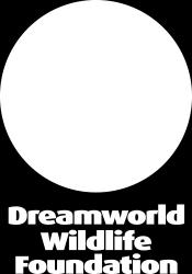 ABOUT DREAMWORLD Australia s biggest theme park, Dreamworld is happiness all in one place.