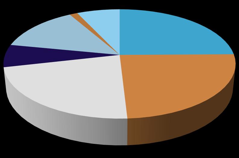 25% Sightseeing 3% Sightseeing 7% Transportatio n 32% Food 18% Transportati on 22% Food 24% Source: Statistical