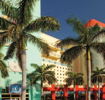 An ideal downtown location puts the rhythmic pulse of Miami right at your fingertips.
