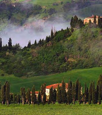 Tours of Tuscany will help you celebrate an anniversary, milestone or the simple joy of