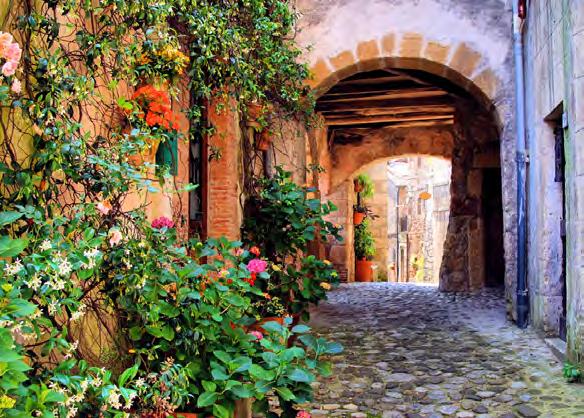 Be delighted and inspired by the atmosphere and beauty of timeless Cortona one of the pearls of Tuscany.