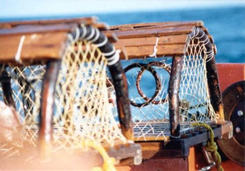 7 Lobster and company June 2016 A gourmet package! Honored each evening : lobster and seafood. On the program each day: discover the Islands during the lobster season.